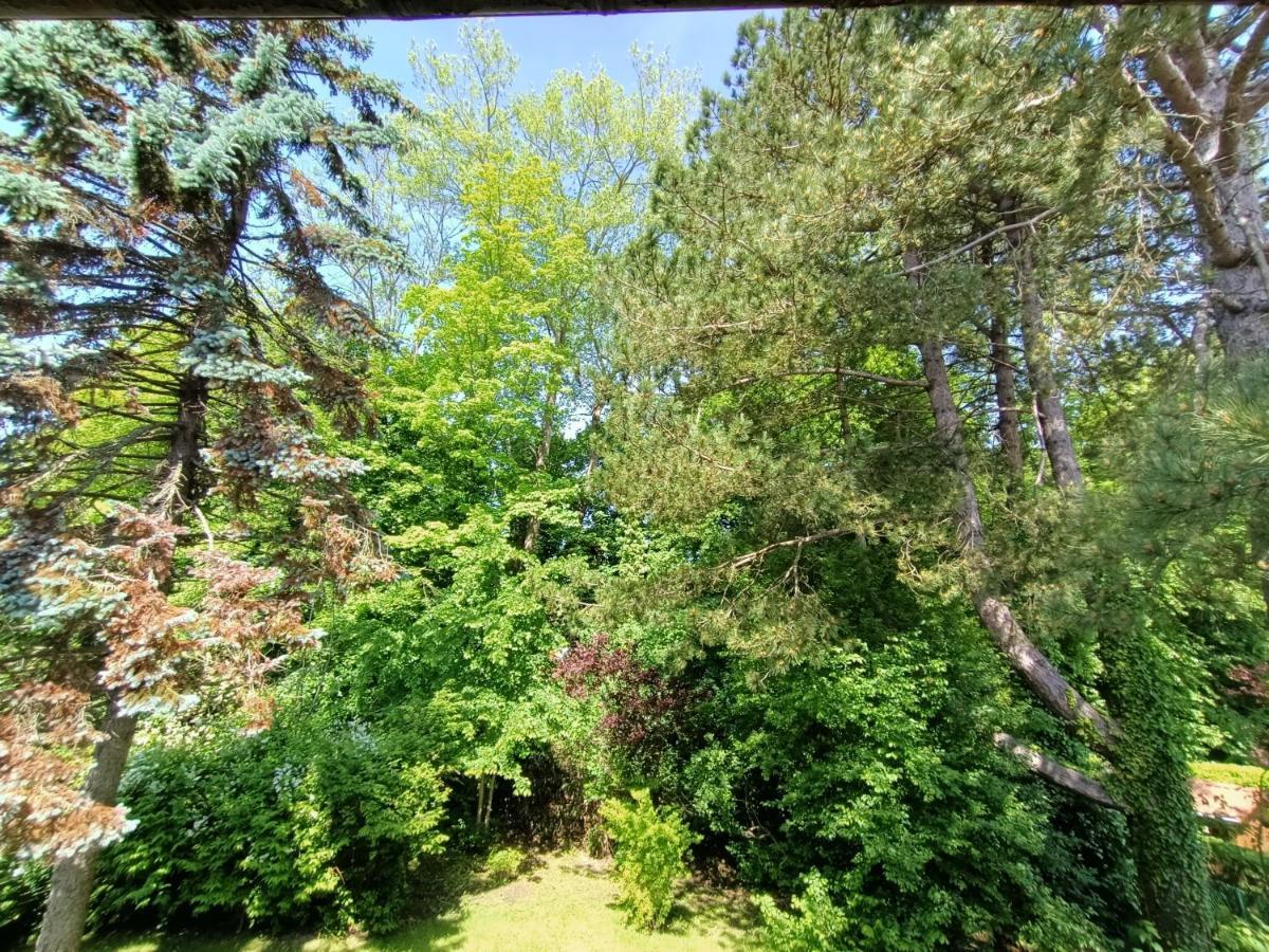 Villa 100 M Du Touquet Entre Foret Et Mer Cucq Eksteriør bilde