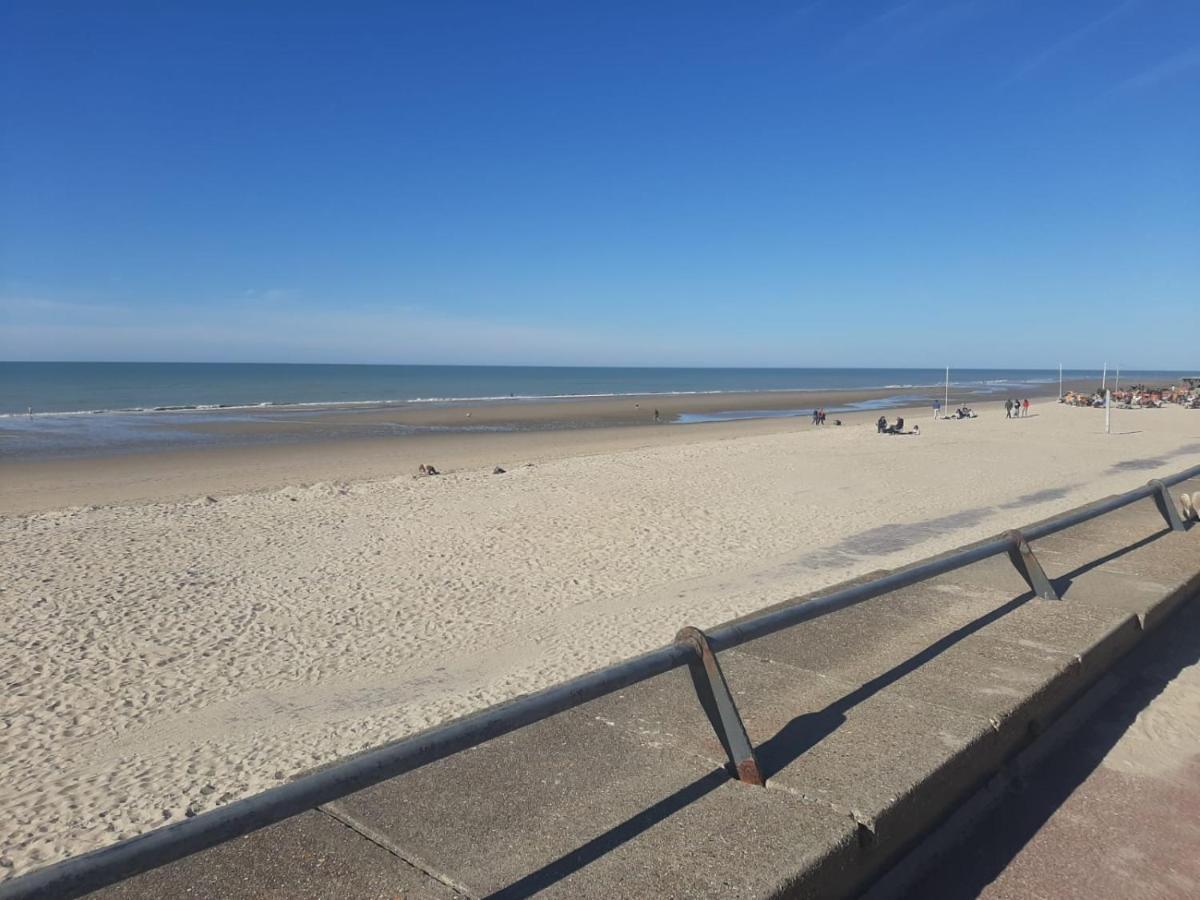Villa 100 M Du Touquet Entre Foret Et Mer Cucq Eksteriør bilde